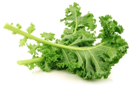Les bienfaits du Kale : légume chou vert